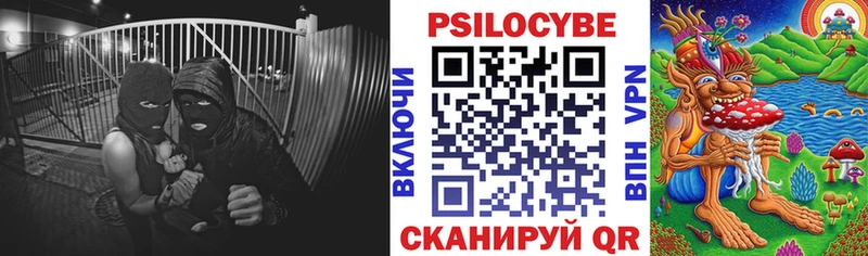 Псилоцибиновые грибы Psilocybine cubensis МЕГА Краснообск цена наркотик